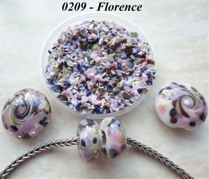 FrMx0209 - Florence