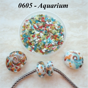 FrMx0605 - Aquarium