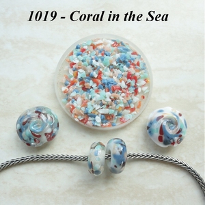 FrMx1019 - Coral in the Sea