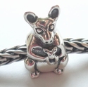 Kangaroo moeder met kind 
